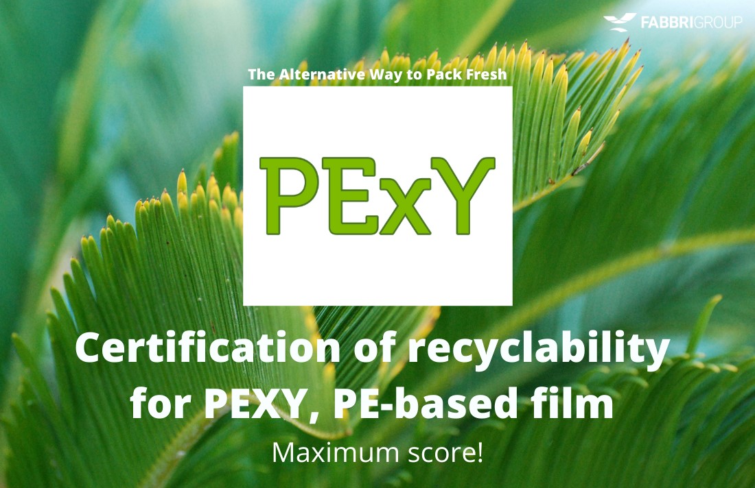 pexy-film